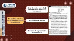como apelar sentencias civiles efectivas